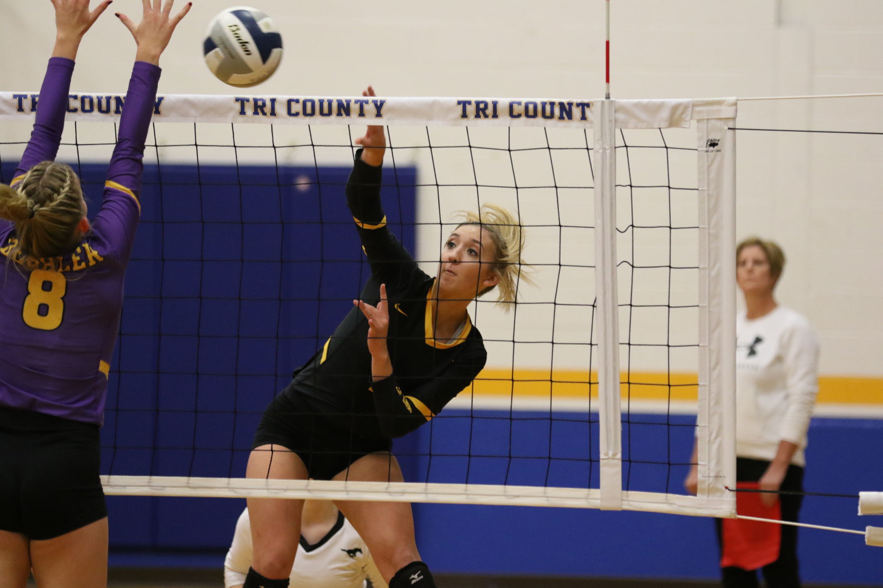 Volleyball (25).JPG